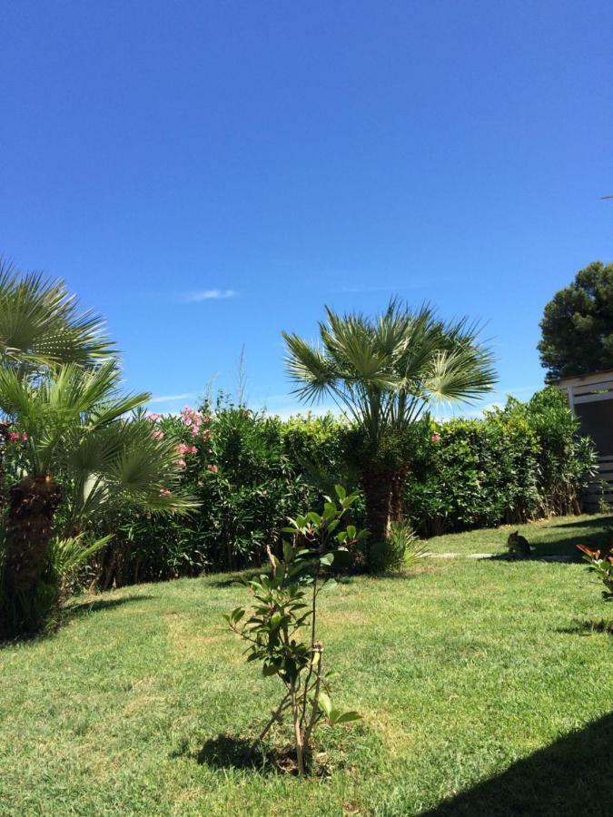 Casa "La Conchiglia" Bed & Breakfast Civitanova Marche Exterior foto