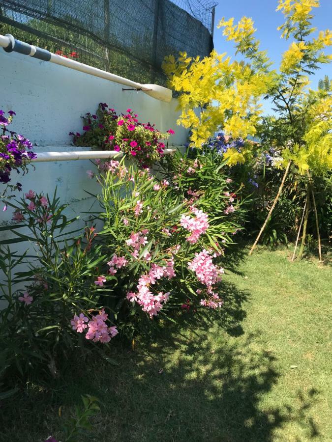 Casa "La Conchiglia" Bed & Breakfast Civitanova Marche Exterior foto